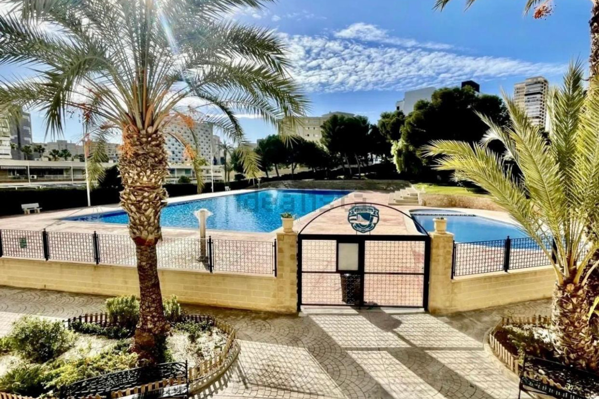 Lange Termijn Verhuur - Appartement  - SAN JUAN ALICANTE - Playa San Juan