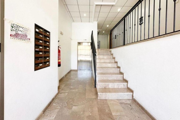 Revente - Appartement - Guardamar del Segura - Pueblo