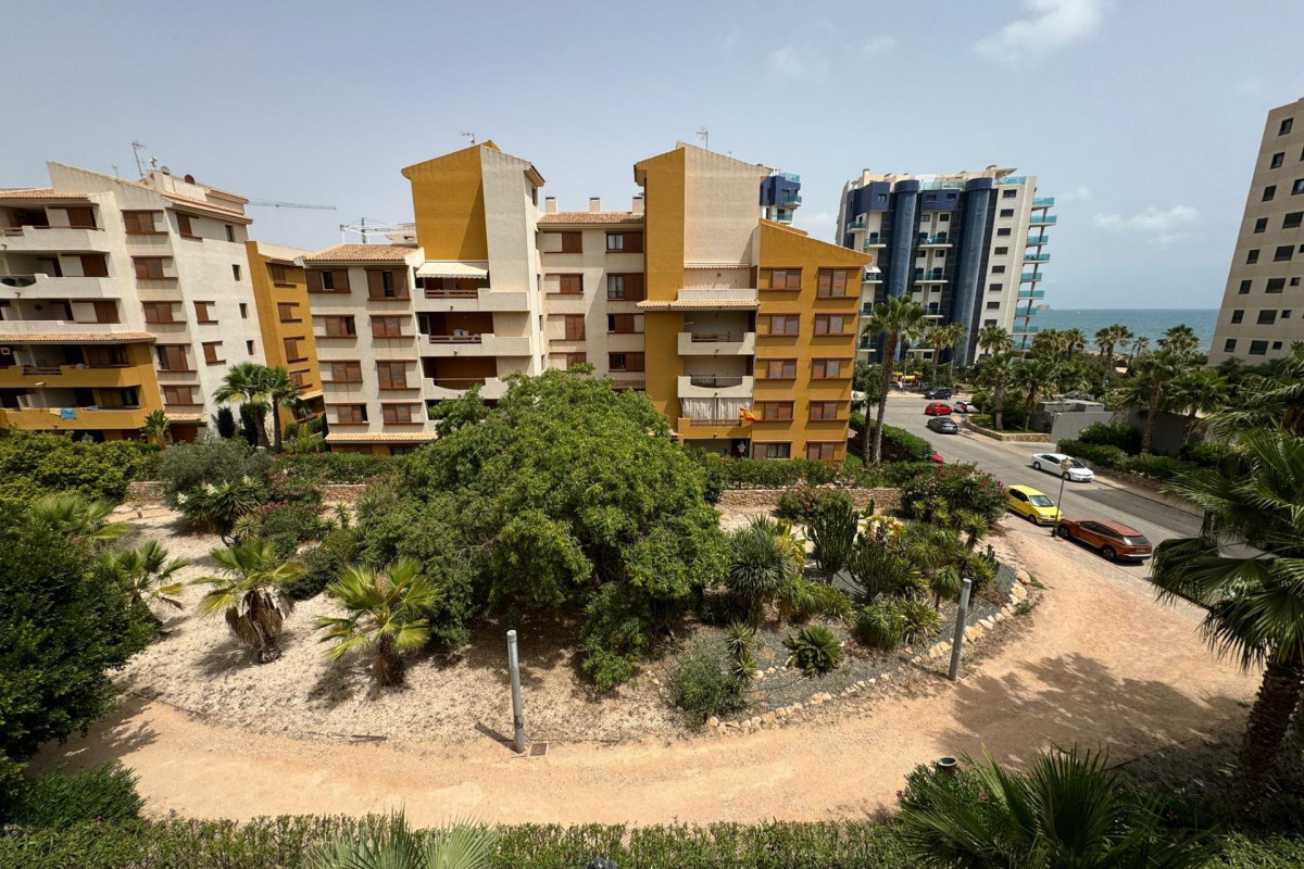 Nouvelle construction - Appartement - Torrevieja - Punta prima