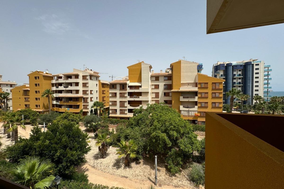 New Build - Apartment  - Torrevieja - Punta prima