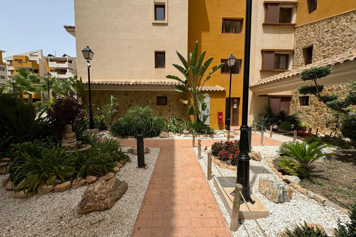 Nieuwbouw - Appartement  - Torrevieja - Punta prima