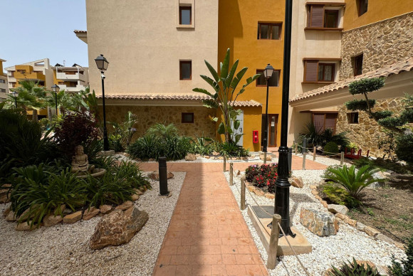 Nieuwbouw - Appartement  - Torrevieja - Punta prima