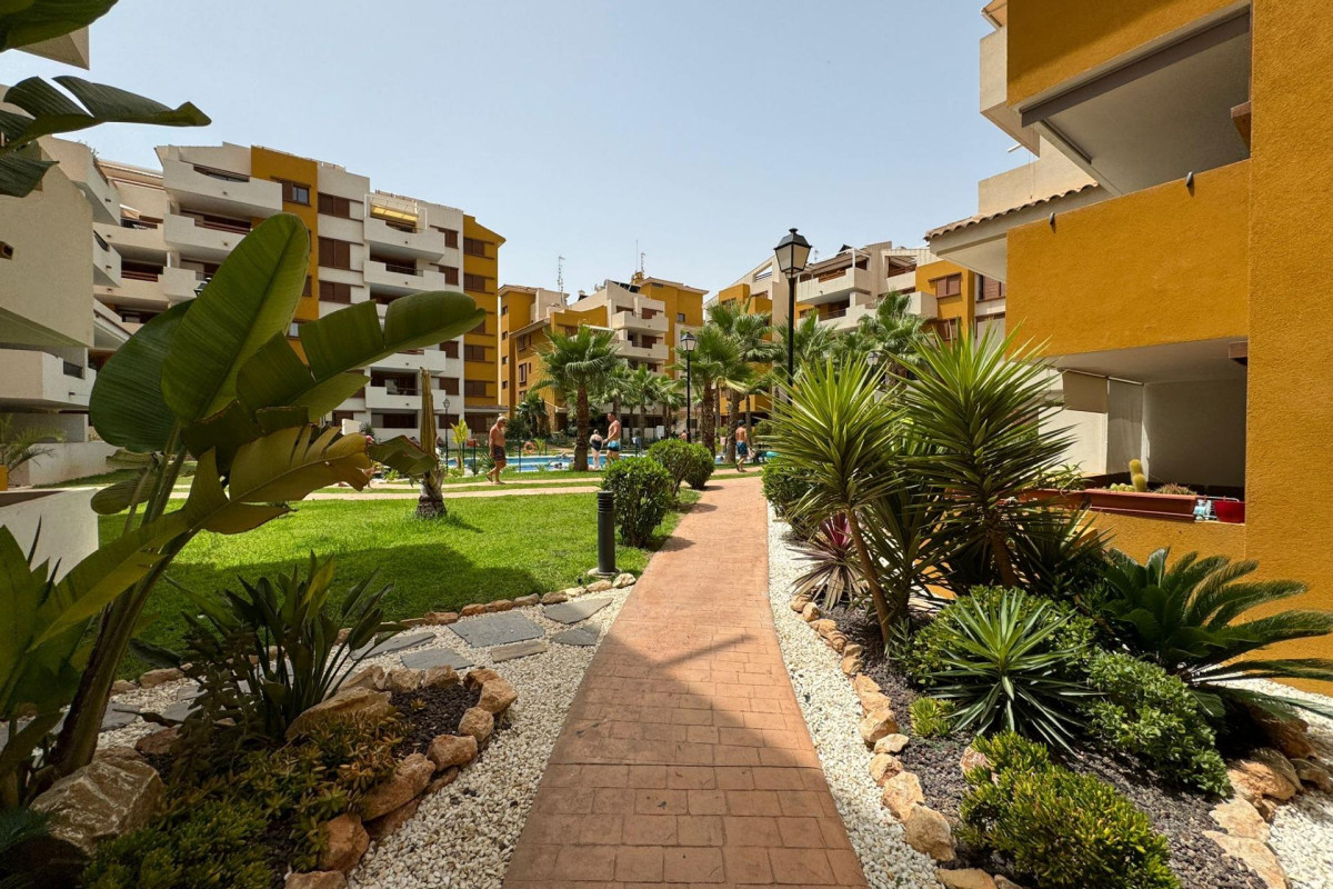 Nieuwbouw - Appartement  - Torrevieja - Punta prima