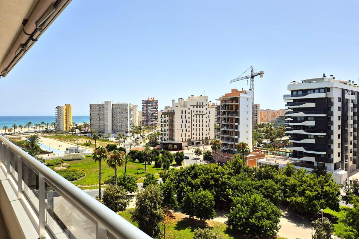 Lange Termijn Verhuur - Appartement  - SAN JUAN ALICANTE - Campo de golf