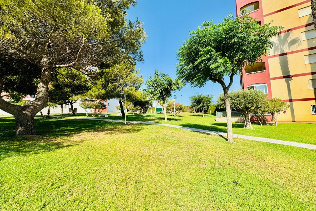 Resale - Apartment  - Torrevieja - La Mata