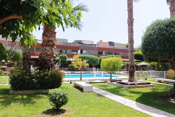 Herverkoop - Appartement - SAN JUAN ALICANTE - Playa San Juan