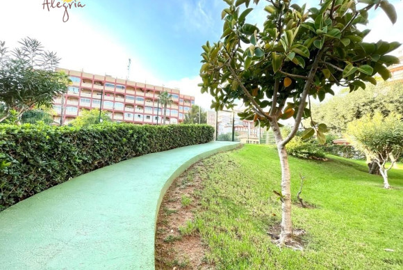 Revente - Appartement - Torrevieja - Torreblanca