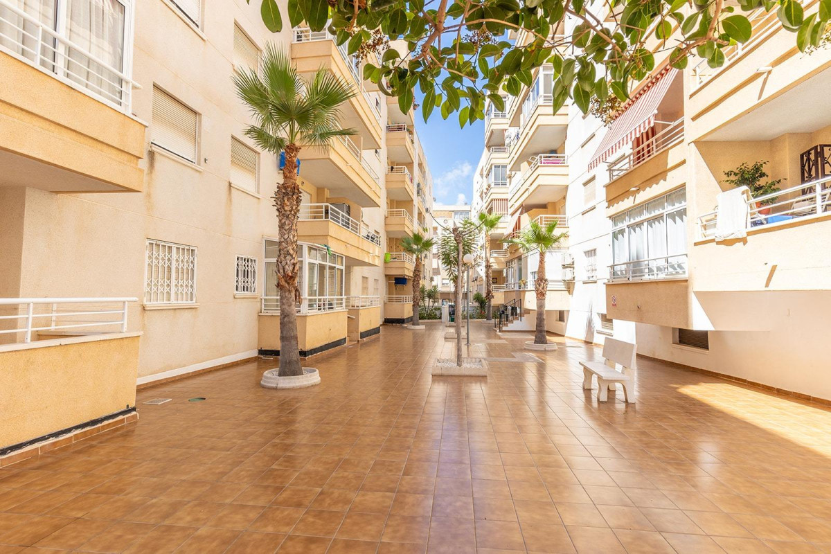 Herverkoop - Appartement  - Torrevieja - Estacion de autobuses