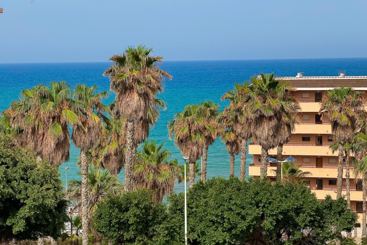 Resale - Apartment  - Torrevieja - Cabo cervera