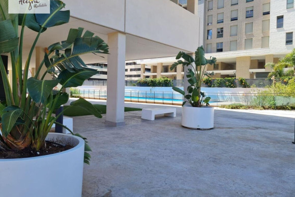 Reventa - Apartamento / piso - Valencia - Mont-Olivet