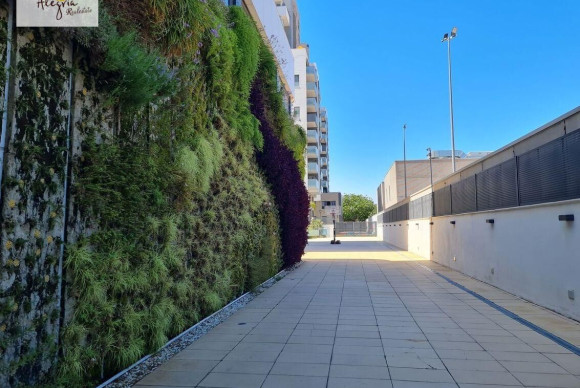 Revente - Appartement - Valencia - Mont-Olivet