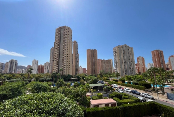 Reventa - Apartamento / piso - Benidorm - Nuevos Juzgados