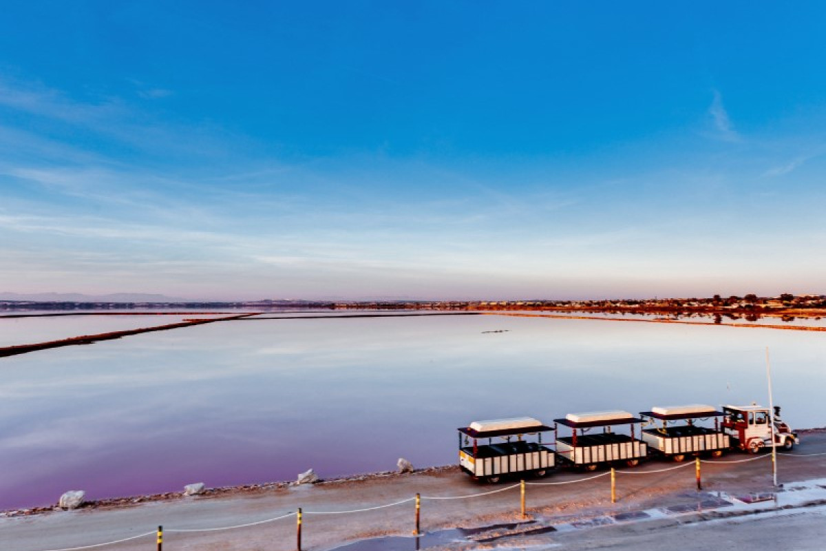 Obra nueva - Bungalow - Torrevieja - La Siesta - El Salado - Torreta