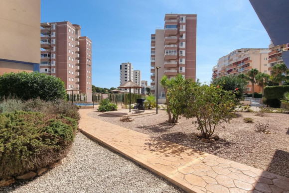 Reventa - Apartamento / piso - Guardamar del Segura - PUERTO