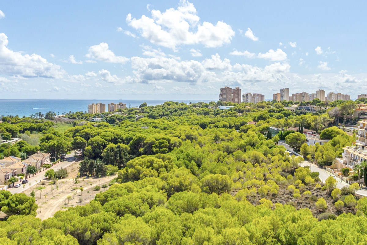 Resale - Apartment  - Orihuela Costa - Campoamor