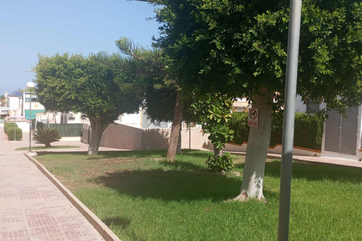 Revente - Bungalow - Torrevieja - Los altos