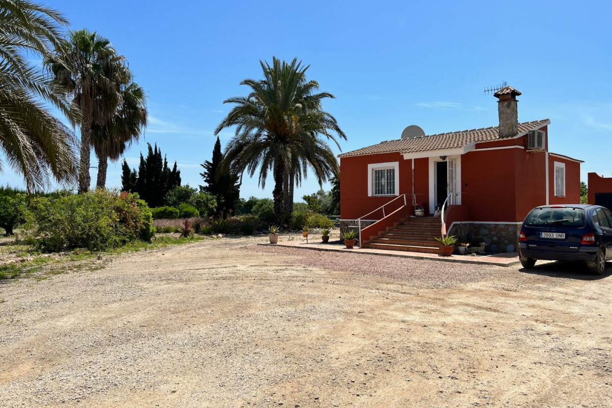 Reventa - Country Property/Finca - San Miguel de Salinas