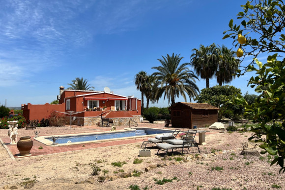 Reventa - Country Property/Finca - San Miguel de Salinas