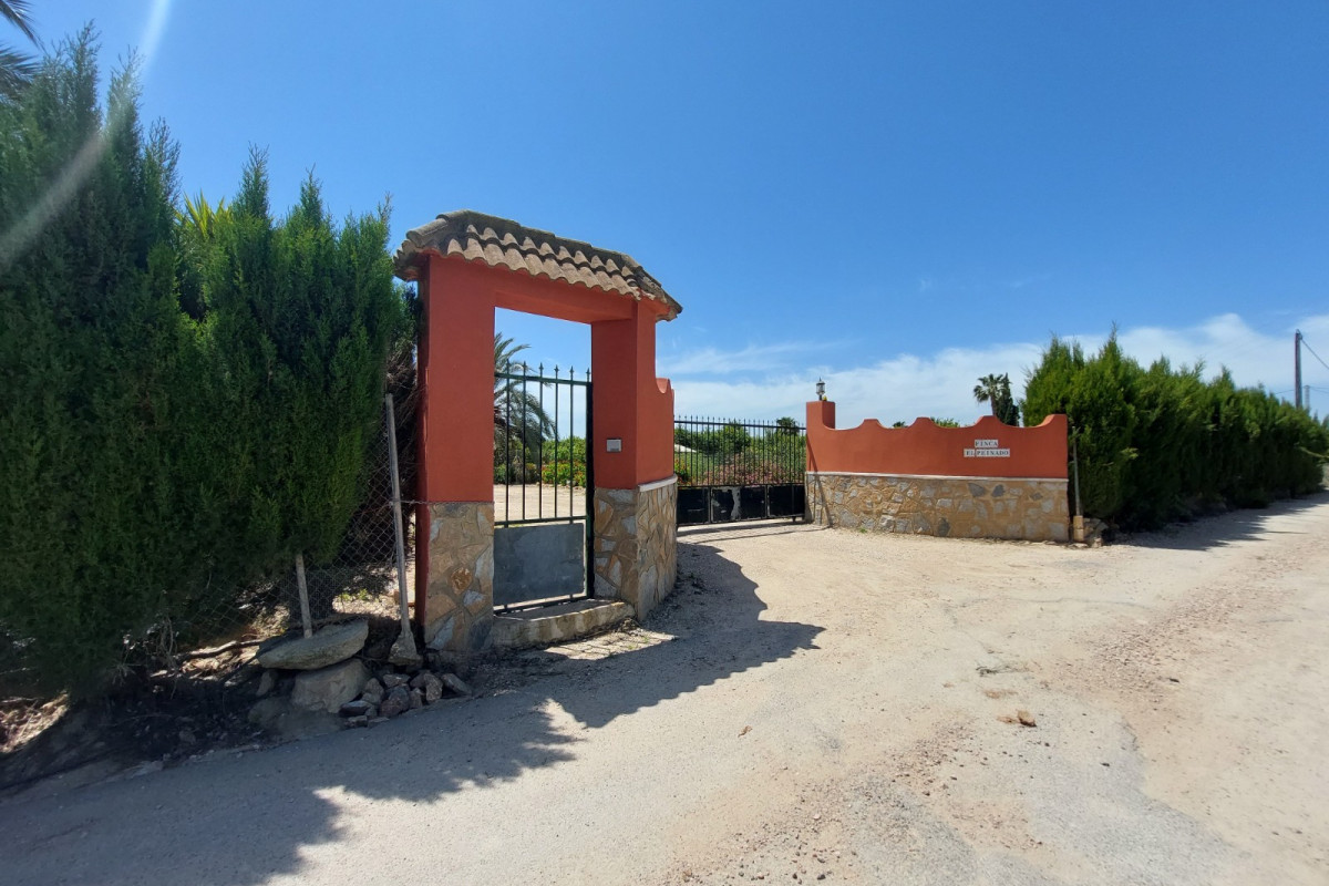 Reventa - Country Property/Finca - San Miguel de Salinas