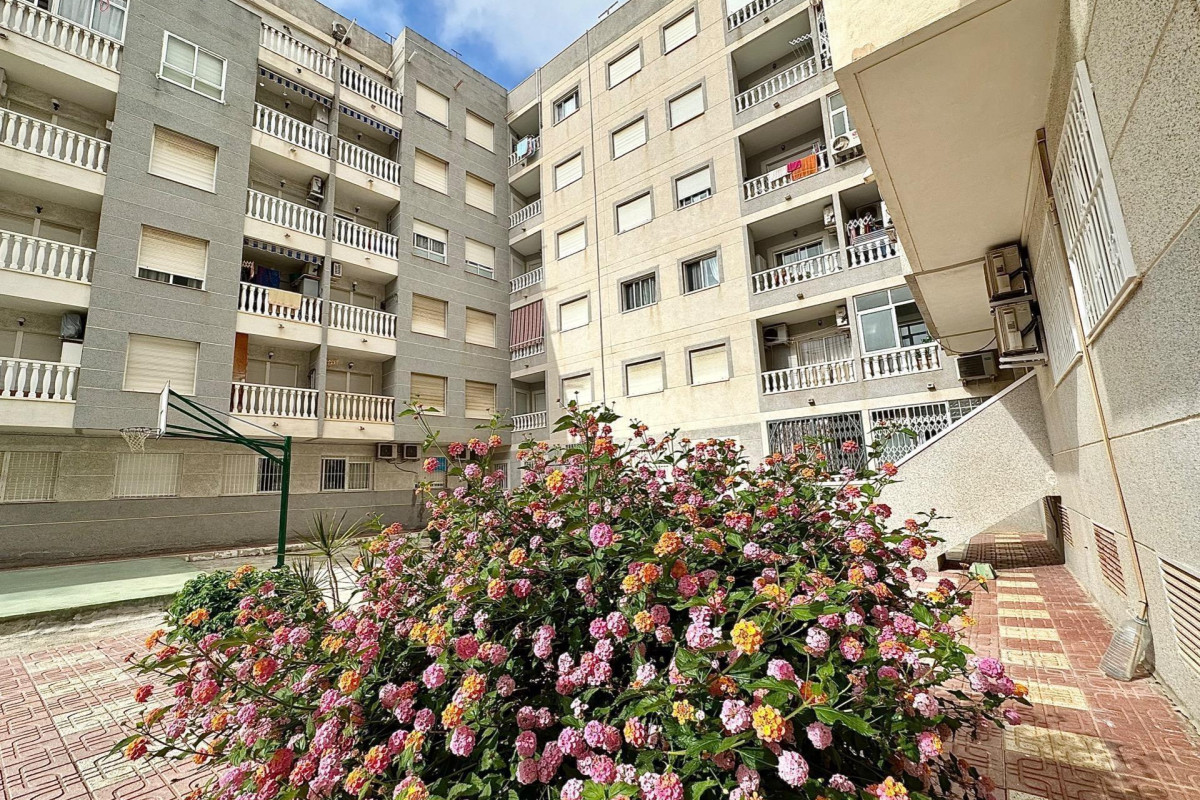 Revente - Appartement - Torrevieja - Playa del cura