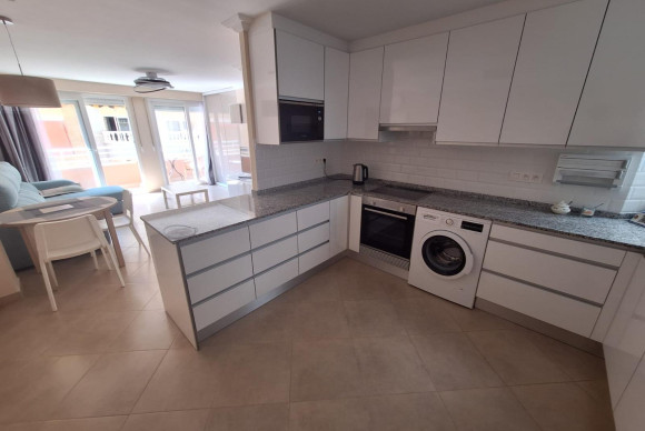 Long Term Rental - Apartment  - Torrevieja - Estacion de autobuses