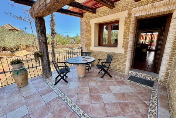 Resale - Finca / Country Property - Los Montesinos - los montesinos