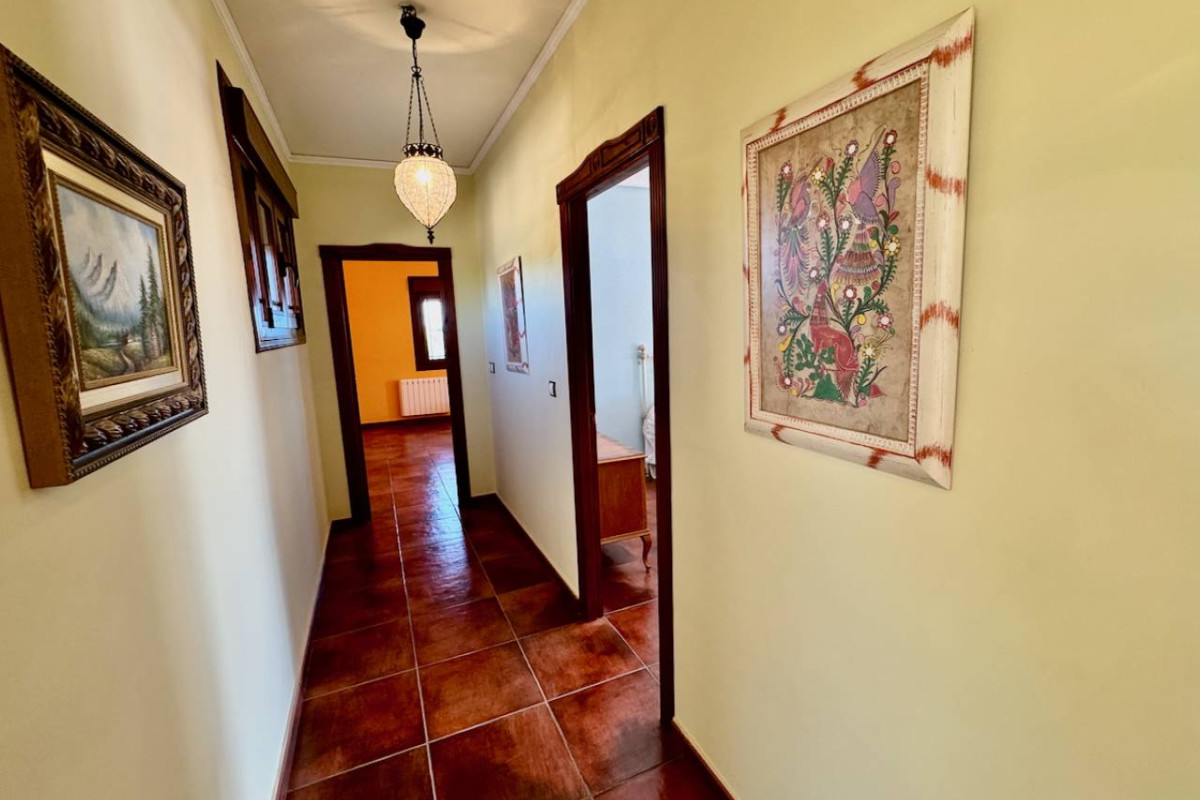 Resale - Finca / Country Property - Los Montesinos - los montesinos