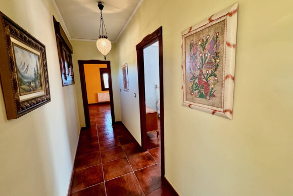 Resale - Finca / Country Property - Los Montesinos - los montesinos