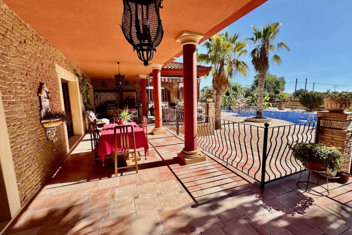 Resale - Finca / Country Property - Los Montesinos - los montesinos