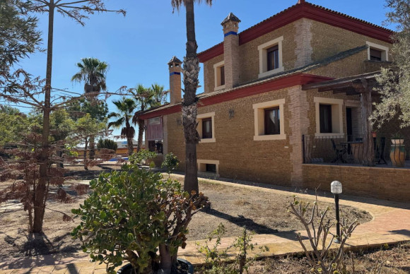 Resale - Finca / Country Property - Los Montesinos - los montesinos