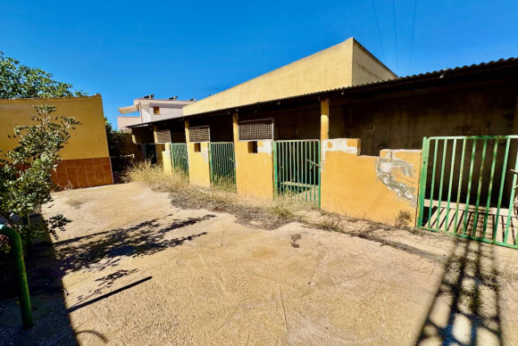 Resale - Finca / Country Property - Los Montesinos - los montesinos