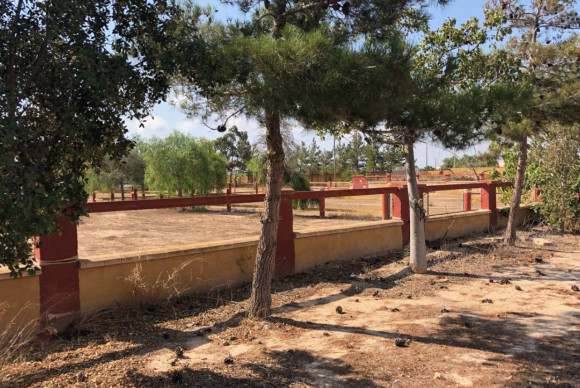 Resale - Finca / Country Property - Los Montesinos - los montesinos