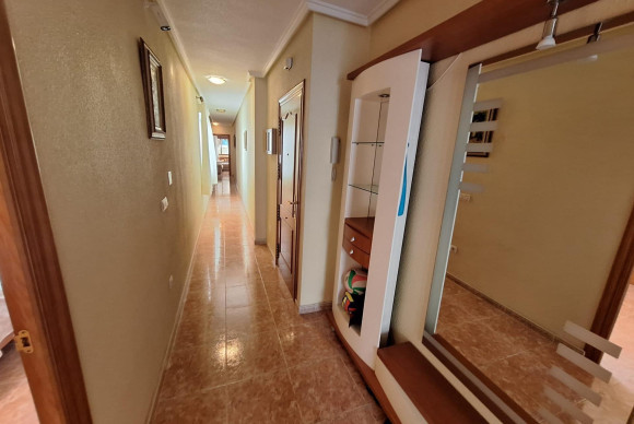 Long Term Rental - Apartment  - Torrevieja - Playa del cura