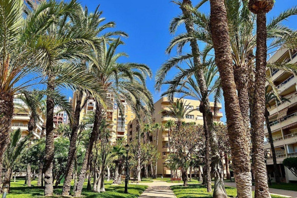 Resale - Apartment  - Torrevieja - Aldea del mar