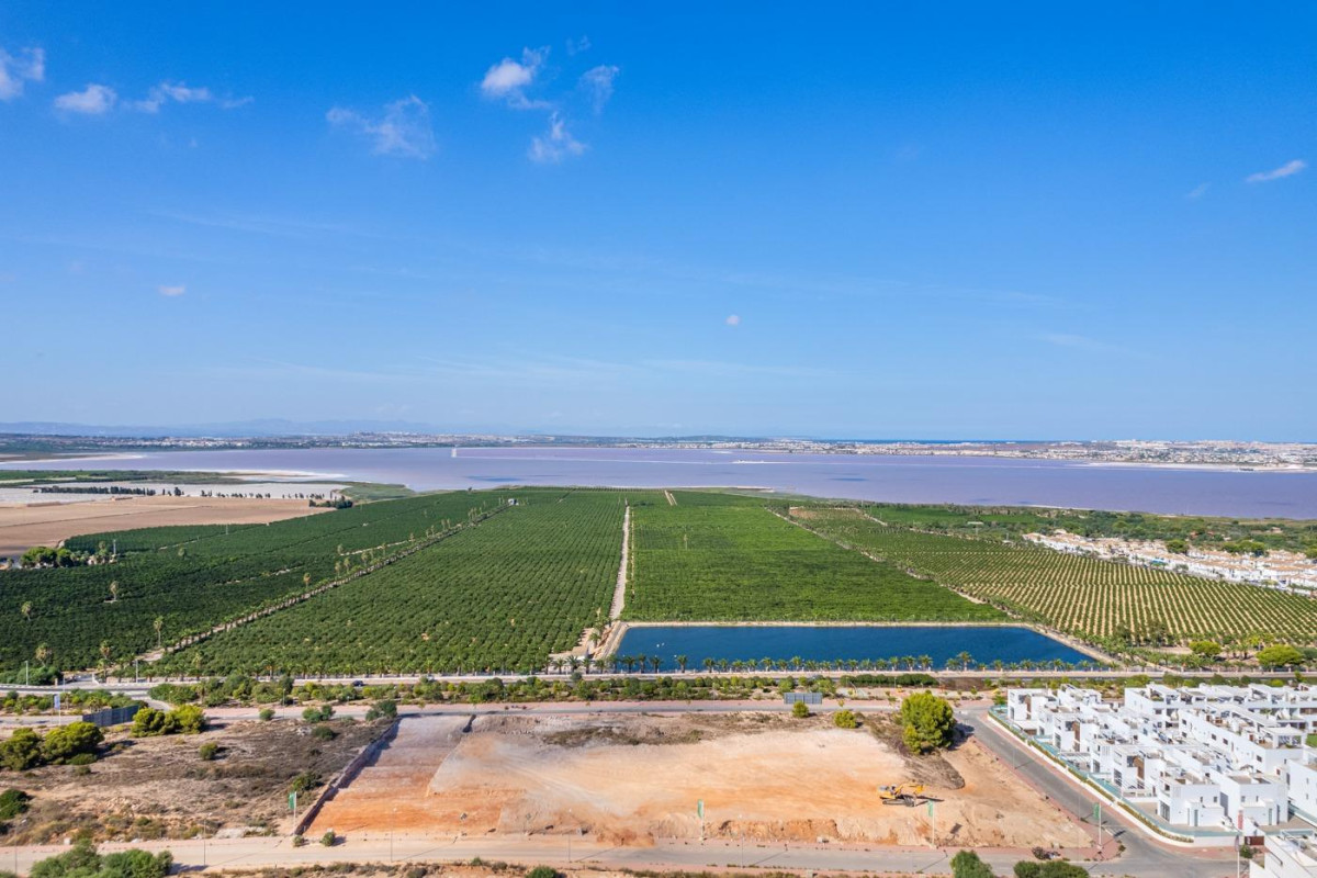 Obra nueva - Bungalow - Torrevieja - Los balcones