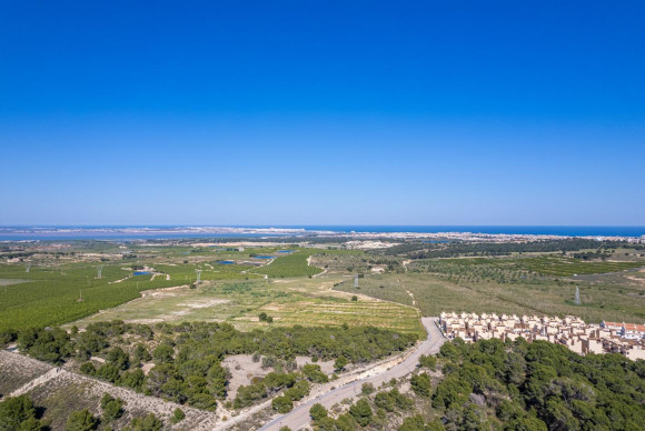 Obra nueva - Bungalow - San Miguel de Salinas - Cerro del Sol