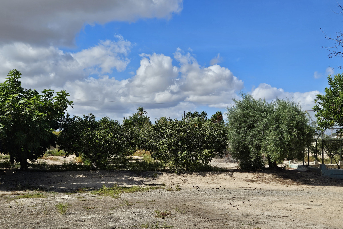 Herverkoop - Landelijke woning - Elche