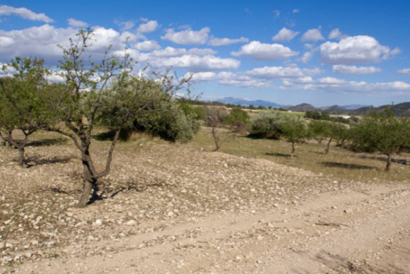 Resale - Plot / Land - Murcia