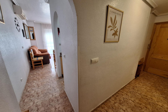 Location à long terme - Appartement - Torrevieja - Estacion de autobuses