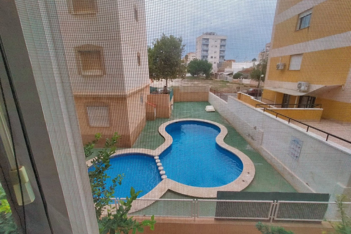 Location à long terme - Appartement - Torrevieja - Nueva Torrevieja