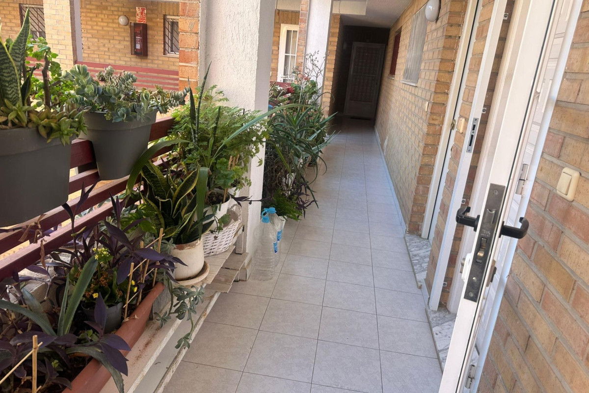 Revente - Appartement - Torrevieja - El molino