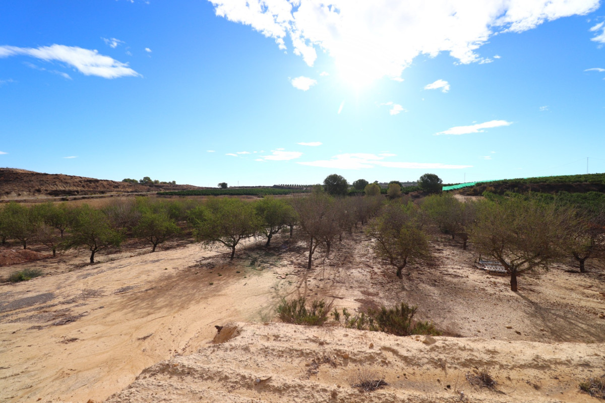 Revente - Parcelle / Terrain - Torremendo - Torremendo - Country