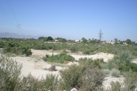 Resale - Plot / Land - Crevillente