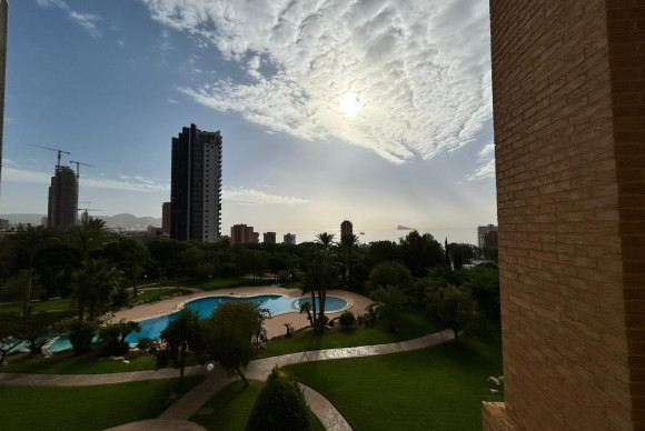 Revente - Appartement - Benidorm - Hotel Bali