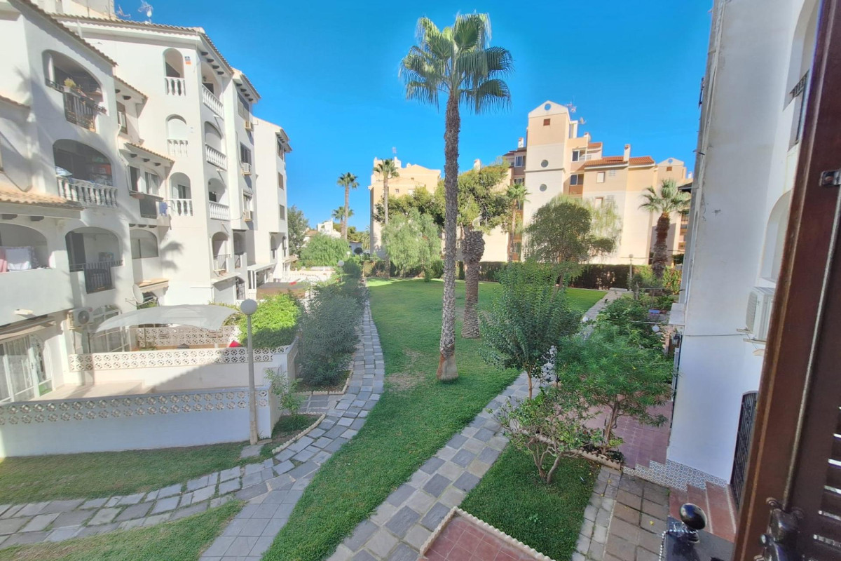 Long Term Rental - Apartment  - Torrevieja - Calas blanca