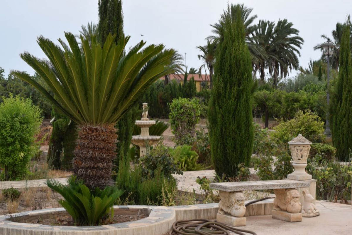 Revente - Country House - Elche