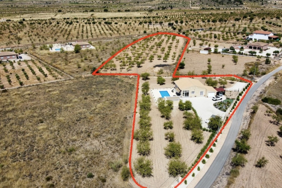 Revente - Villa - BARBARROJA