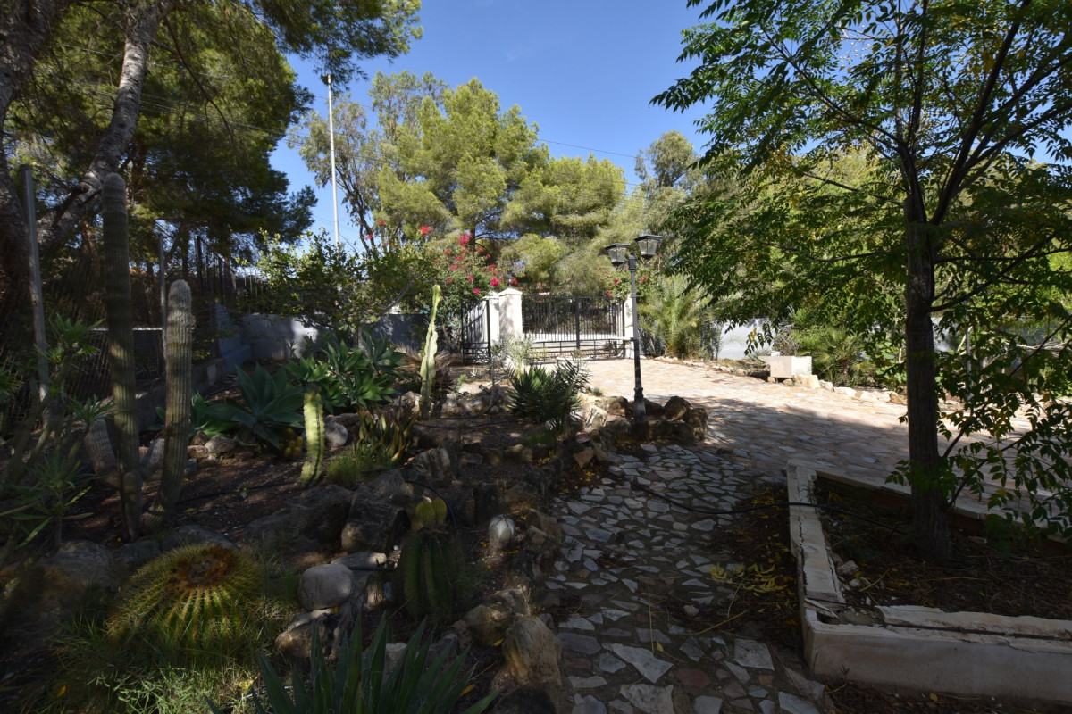 Herverkoop - Landelijke Woning-Finca - Algorfa - Montemar