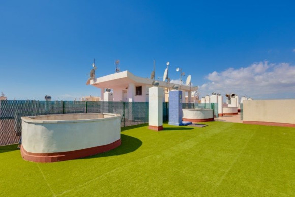 Resale - Apartment  - Torrevieja - torrevieja