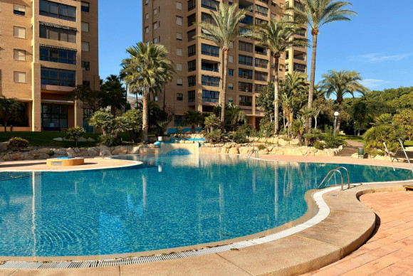 Revente - Appartement - Benidorm - Hotel Bali